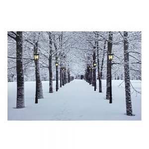 Quadro in tela Luminoso Natalizio con Viale Innevato - 60 x 40 cm