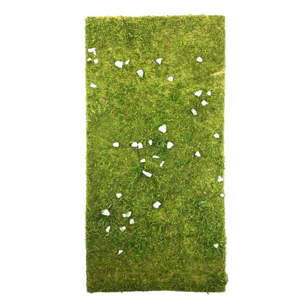 Tappeto di Muschio con Sassi - 70 x 50 cm