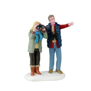 Nuovi Avvistamenti Lovebirds H 7 cm Personaggio Lemax - 42318