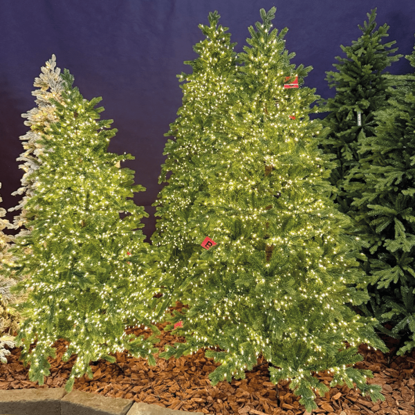 Albero di Natale Abete artificiale con LED Courmayeur - Realistico e pre-illuminato - immagine 2