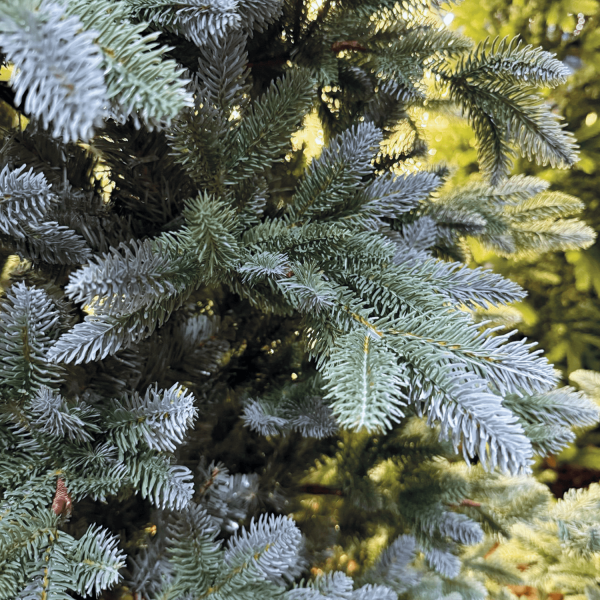 Albero di Natale Abete artificiale Silver Po - Realistico e Super Folto - immagine 3