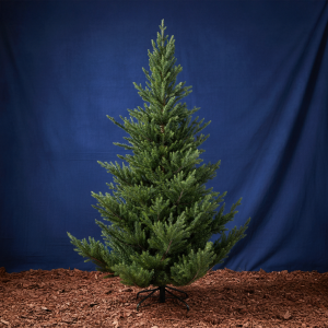 Albero di Natale Abete artificiale Cervinia - Verde e Super Realistico
