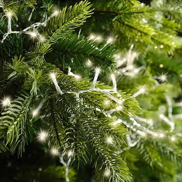 Catena di Luci LED Ravvicinate a Corrente ad Alta Luminosità per Albero di Natale | Bianco Caldo – Filo Trasparente - immagine 2