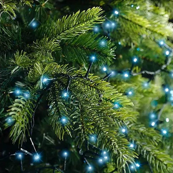 Catena di Luci LED Ravvicinate a Corrente ad Alta Luminosità per Albero di Natale | Blu – Filo Verde - immagine 2