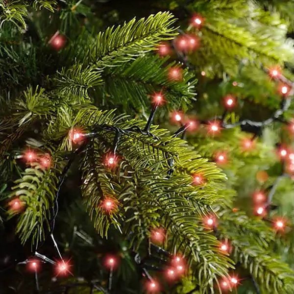 Catena di Luci LED Ravvicinate a Corrente ad Alta Luminosità per Albero di Natale | Rosso – Filo Verde - immagine 2